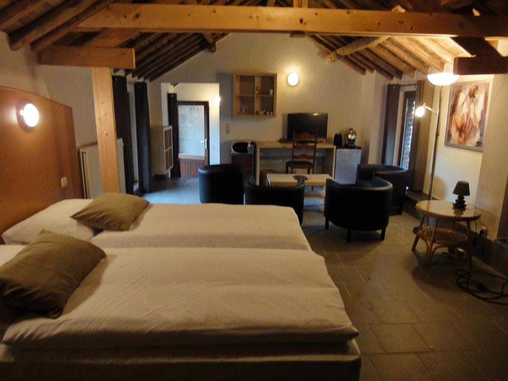 Parkhotel Villa Des Effats วีแยลซาลม์ ห้อง รูปภาพ